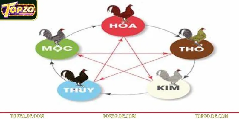 Giới thiệu về màu mạng đá gà