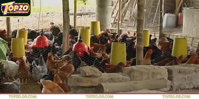 Hội viên tại Topzo nên quan tâm đến quy mô nơi huấn luyện