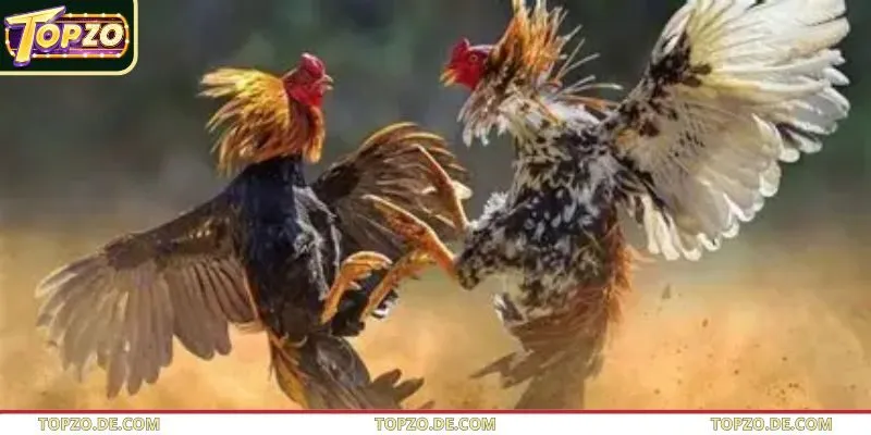 Sắc đỏ thường biểu trưng cho may mắn và sinh khí dồi dào